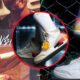 Medellin es la inspiracion en los nuevos Air Jordan x Jbalvin